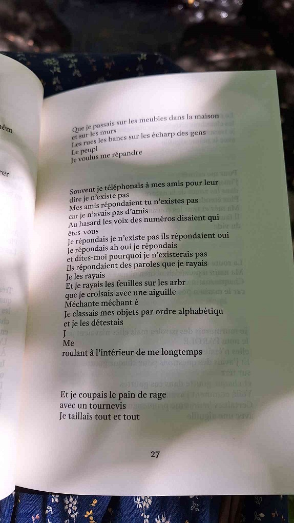 Une photo d'une page du livre du large et du long, ombragée par les feuilles d'un arbre:
Que je passais sur les meubles dans la maison et sur les murs
Les rues les bancs sur les écharp des gens
Le peupl
Je voulus me répandre

Souvent je téléphonais à mes amis pour leur dire je n'existe pas
Mes amis répondaient tu n'existes pas
car je n'avais pas d'amis
Au hasard les voix des numéros disaient qui êtes-vous
Je répondais je n'existe pas ils répondaient oui
Je répondais ah oui je répondais
et dites-moi pourquoi je n'existerais pas
Ils répondaient des paroles que je rayais
Je les rayais
Et je rayais les feuilles sur les arbr
que je croisais avec une aiguille
Méchante méchant é
Je classais mes objets par ordre alphabétiqu
J
Me
roulant à l'intérieur de me longtemps

Et je coupais le pain de rage
avec un tournevis
Je taillais tout et tout