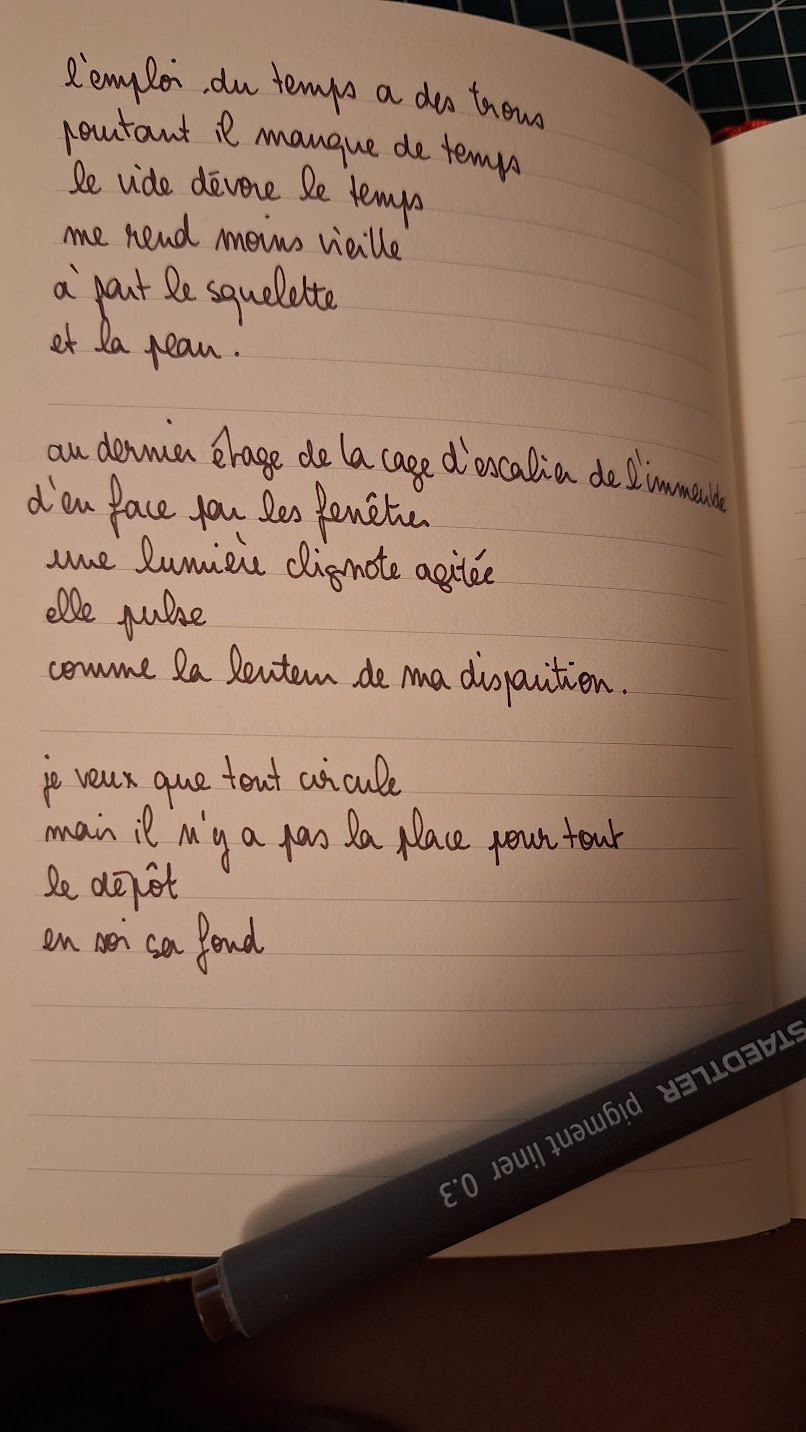 l'emploi du temps a des trous
pourtant il manque de temps
le vide dévore le temps
me rend moins vieille
à part le squelette
et la peau.

au dernier étage de la cage d'escalier de l'immeuble d'en face par les fenêtres
une lumière clignote agitée
elle pulse
comme la lenteur de ma disparition.

je veux que tout circule
mais il n'y a pas la place pour tout
le dépôt
en soi ça fond