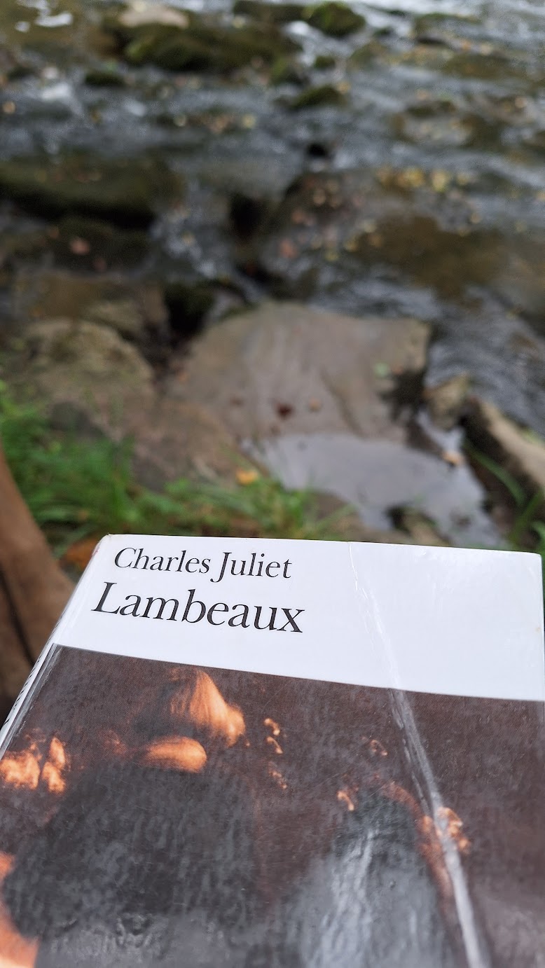 Une photographie portrait, la moitié basse avec le livre Lambeaux et la moitié haute avec le cours d'eau en fond flou