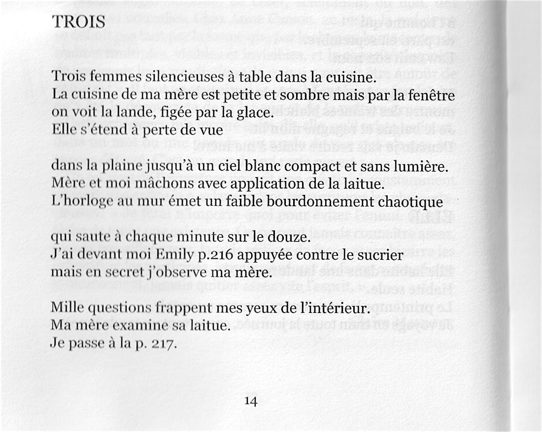 TROIS

Trois femmes silencieuses à table dans la cuisine.
La cuisine de ma mère est petite et sombre mais par la feneêtre on voit la lande, figée par la glace.
Elle s'étend à perte de vue

dans la plaine jusqu'à un ciel blanc compact et sans lumière.
Mère et moi mâchons avec application de la laitue.
L'horloge au mur émet un faible bourdonnement chaotique

qui saute à chaque minute sur le douze.
J'ai devant moi Emily p.216 appuyée contre le sucrier
mais en secret j'observe ma mère.

Mille questions frappent mes yeux de l'intérieur.
Ma mère examine sa laitue.
Je passe à la p. 217.