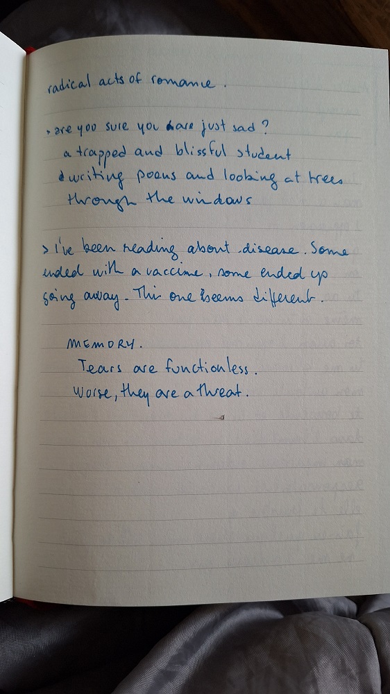 Photographie d'une page du carnet moulin, il est écrit à l'encre bleue
radical acts of romance.

> are you sure you are just sad ?
a trapped and blissful student writing poems and looking at trees through the windows

> I've been reading about disease. Some ended with a vaccine, some ended up going away. This one seems different.

MEMORY
Tears are functionless.
Worse, they are a threat.