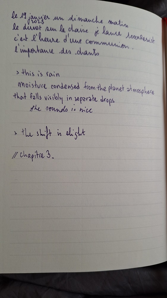 Photographie d'une page du carnet moulin, il est écrit à l'encre violette
le 19 janvier un dimanche matin
le duvet sur la chaise je lance  1000XResist
c'est l'heure d'une communion
l'importance des chants

> This is rain
Moisture condensed from the planet atmosphere that falls visibly in separate drops
the sounds is nice

> the shift is slight

// Chapitre 3