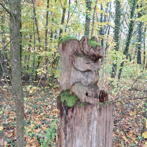 une photo d'un totem en bois dans la forêt représentant un écureil